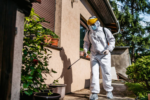 Best Pest Control Near Me in Phoenix, NY