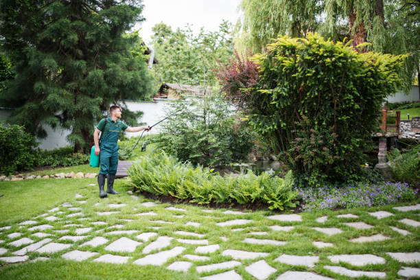 Best Best Pest Control Near Me  in Phoenix, NY