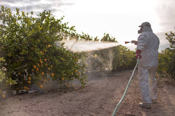 Flea Control Services in Phoenix, NY