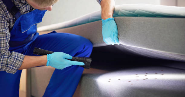 Best Pest Control for Restaurants  in Phoenix, NY