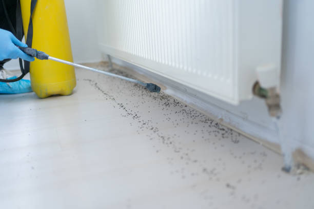 Professional Pest Control in Phoenix, NY